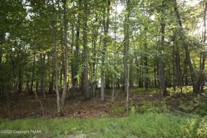 WOODS RD #24