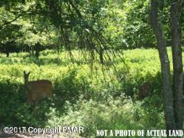 Lot 119 Mountain Road