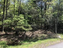 Lake Harmony Rd