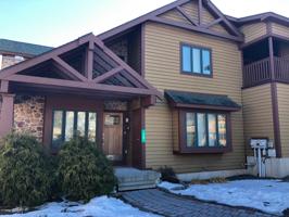 58 Woodsbluff Ct