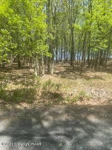927 Tamarack Terrace