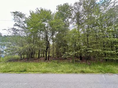 267 Birch Way