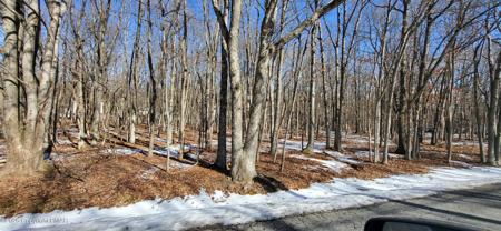 Mohawk Trail