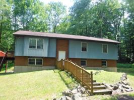 6146 Beech
