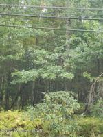 Lot 14 MILLERS DR