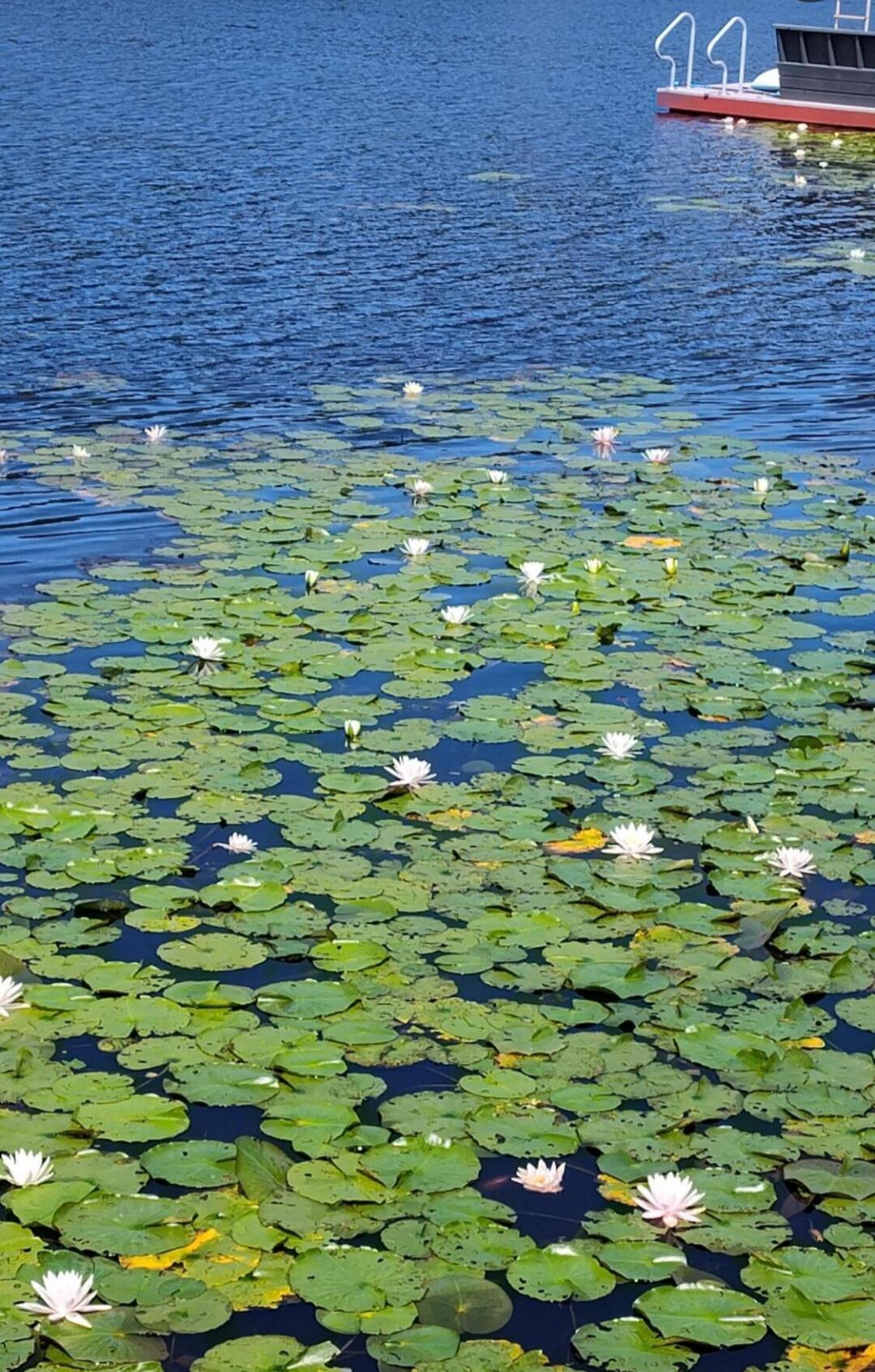 Image 2: fishing lake