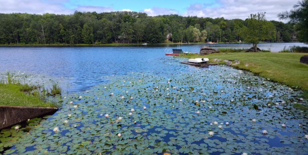 Image 3: fishing lake