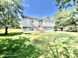 241 Snowshoe Ln