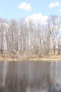 #31 Lake Shore Dr 31