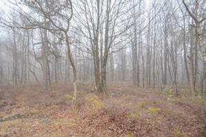 57 DEER RUN