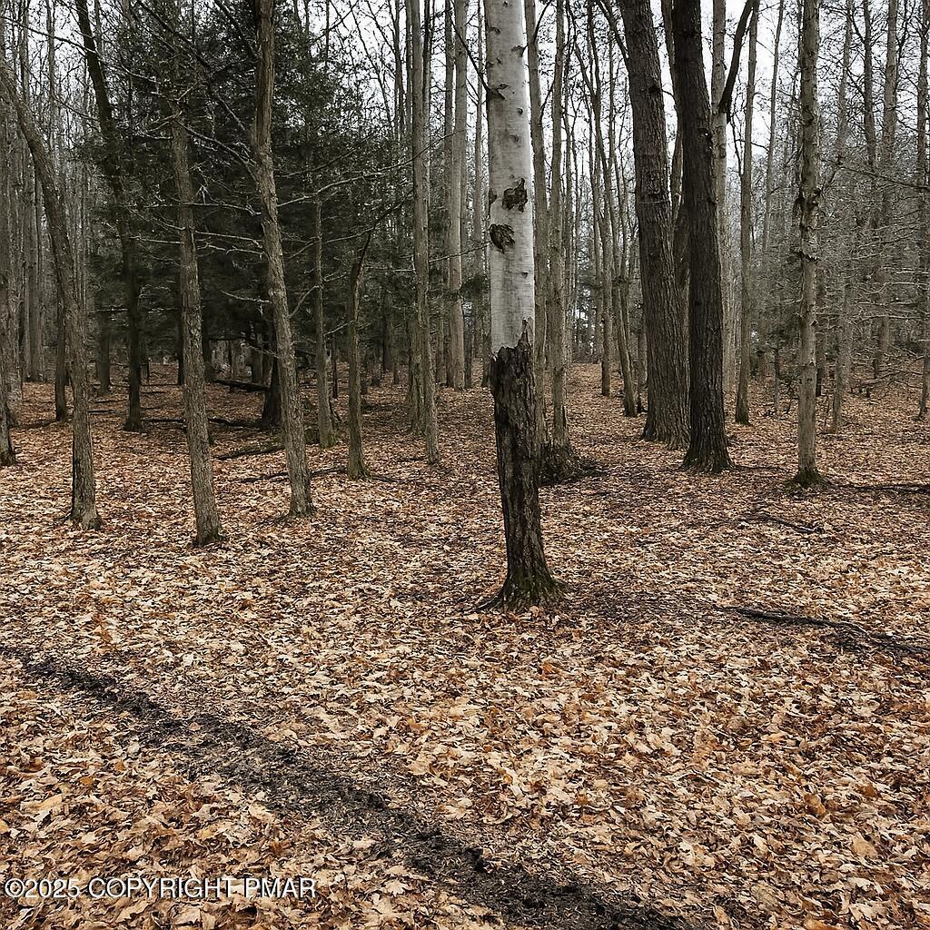 Image 1: Timberlake Lot