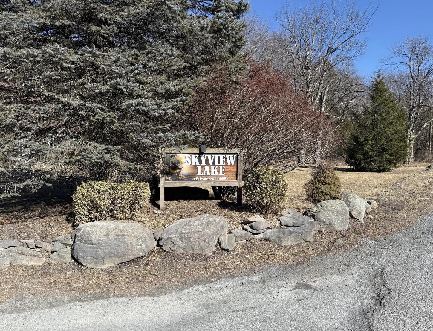 Image 3: Image 4-8-25 at 3.04PM