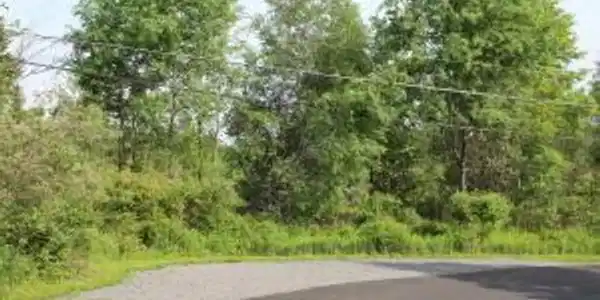 1 LIDIO Road