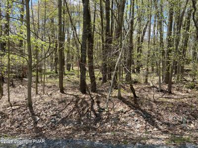 Lot 5 SKIPPACK Trail