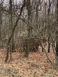 407 Pine Tree Road