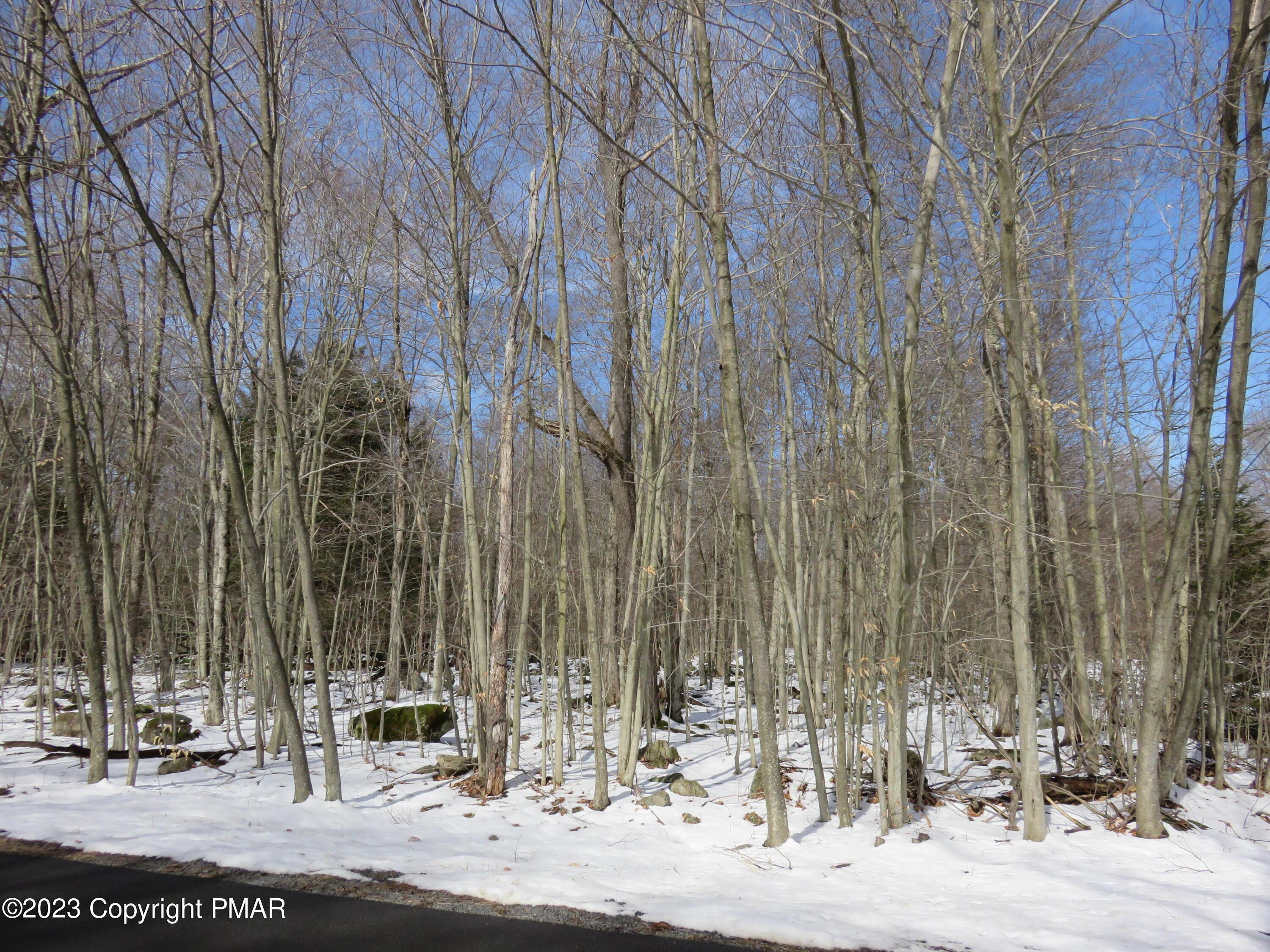 Image 1: 80-CC Delbert Drive