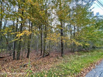 Lot 53 Red Spruce Road
