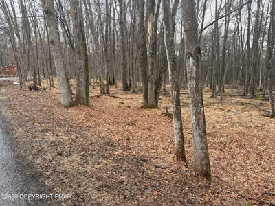 Masters Trail
