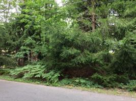 LOT on White Oak Rd