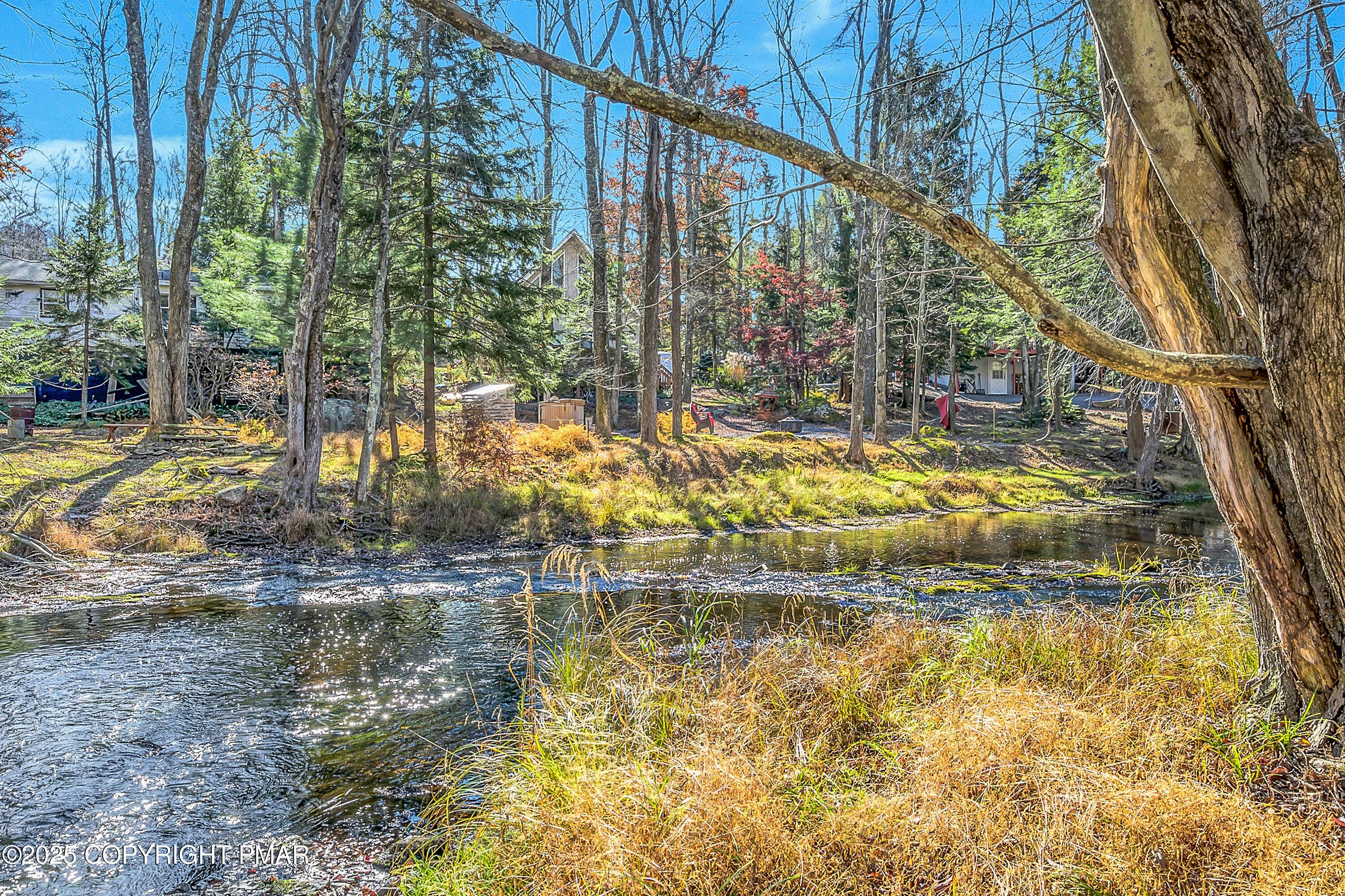 Image 4: Trout Run_-18