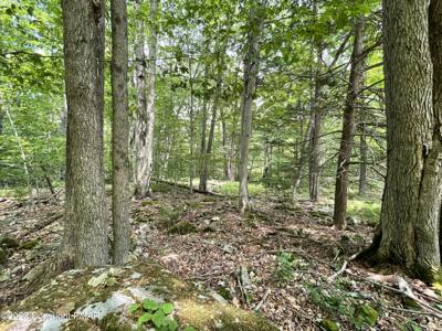 Lot 23R Lakewood Court