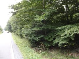 Lot 23 ROSEMONT DR