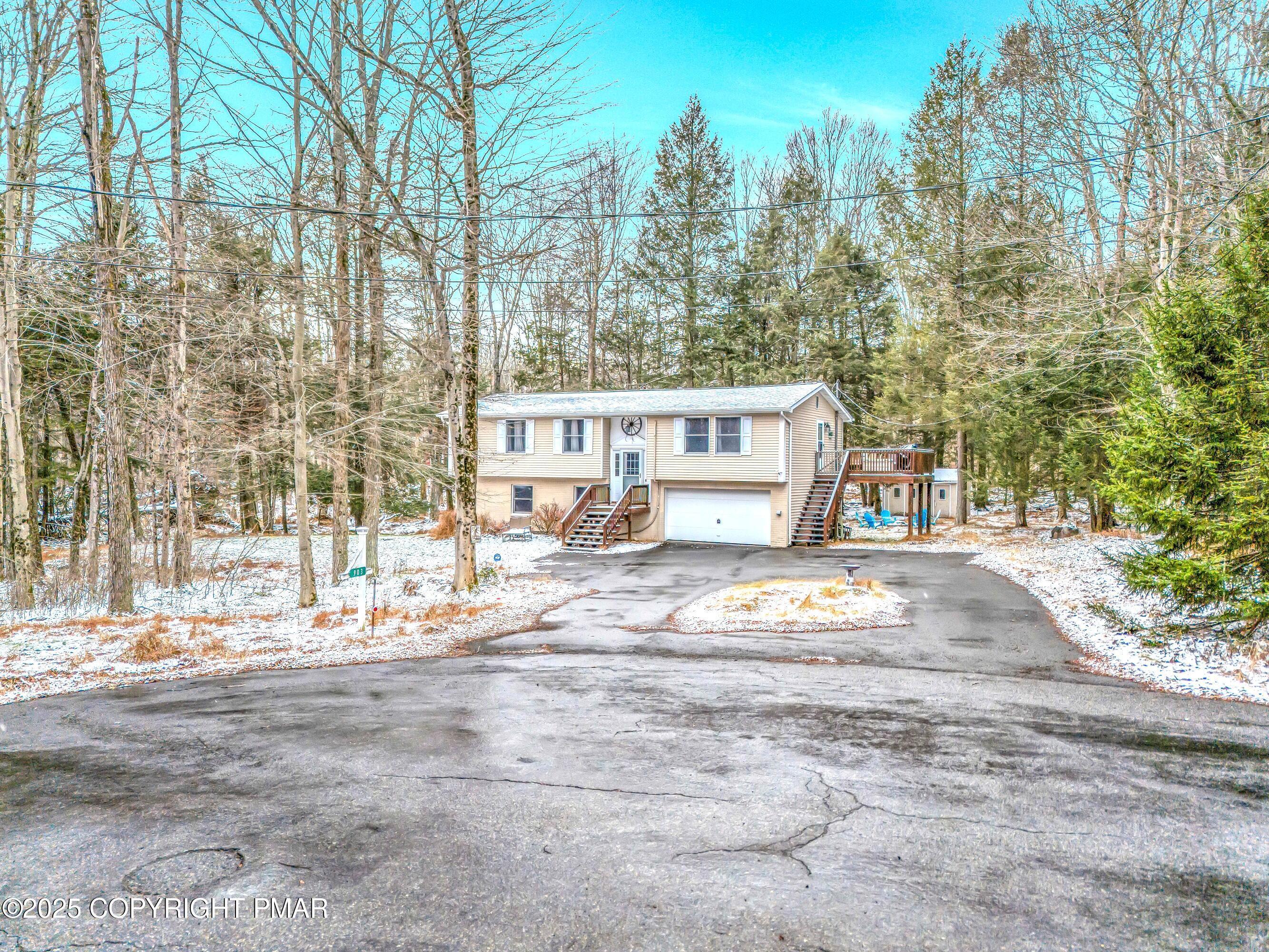 Image 2: Sir Lion_-8