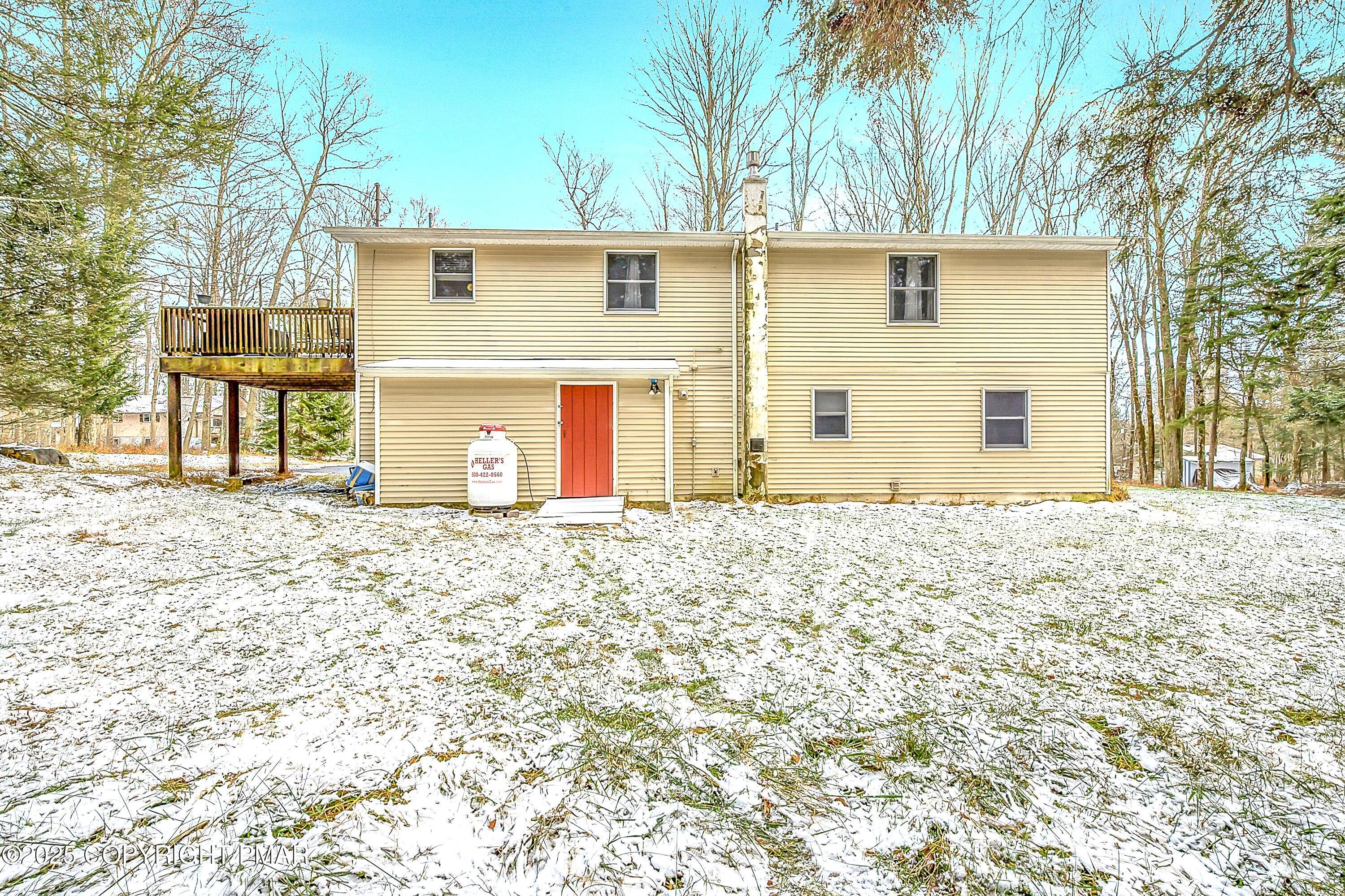 Image 4: Sir Lion_-6