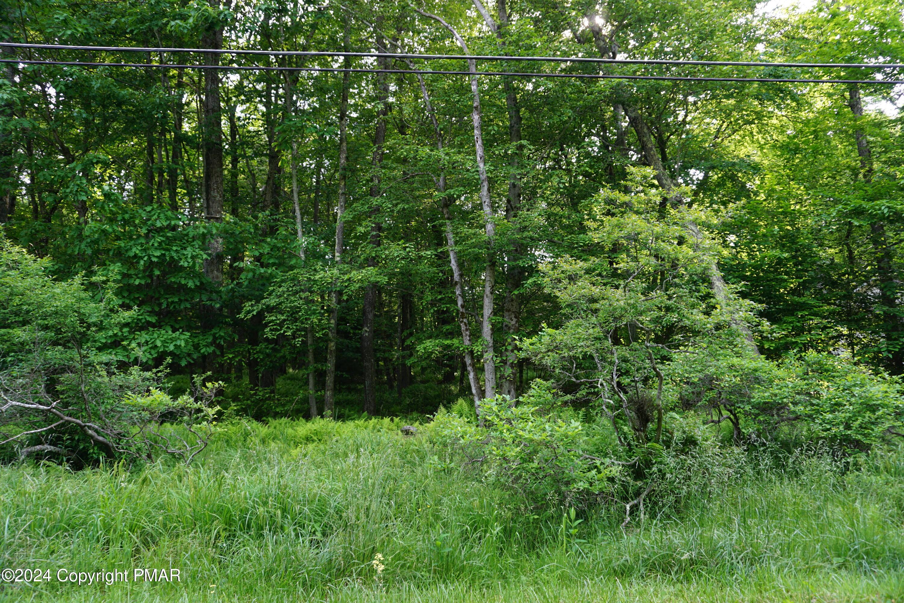 Image 2: DSC04096