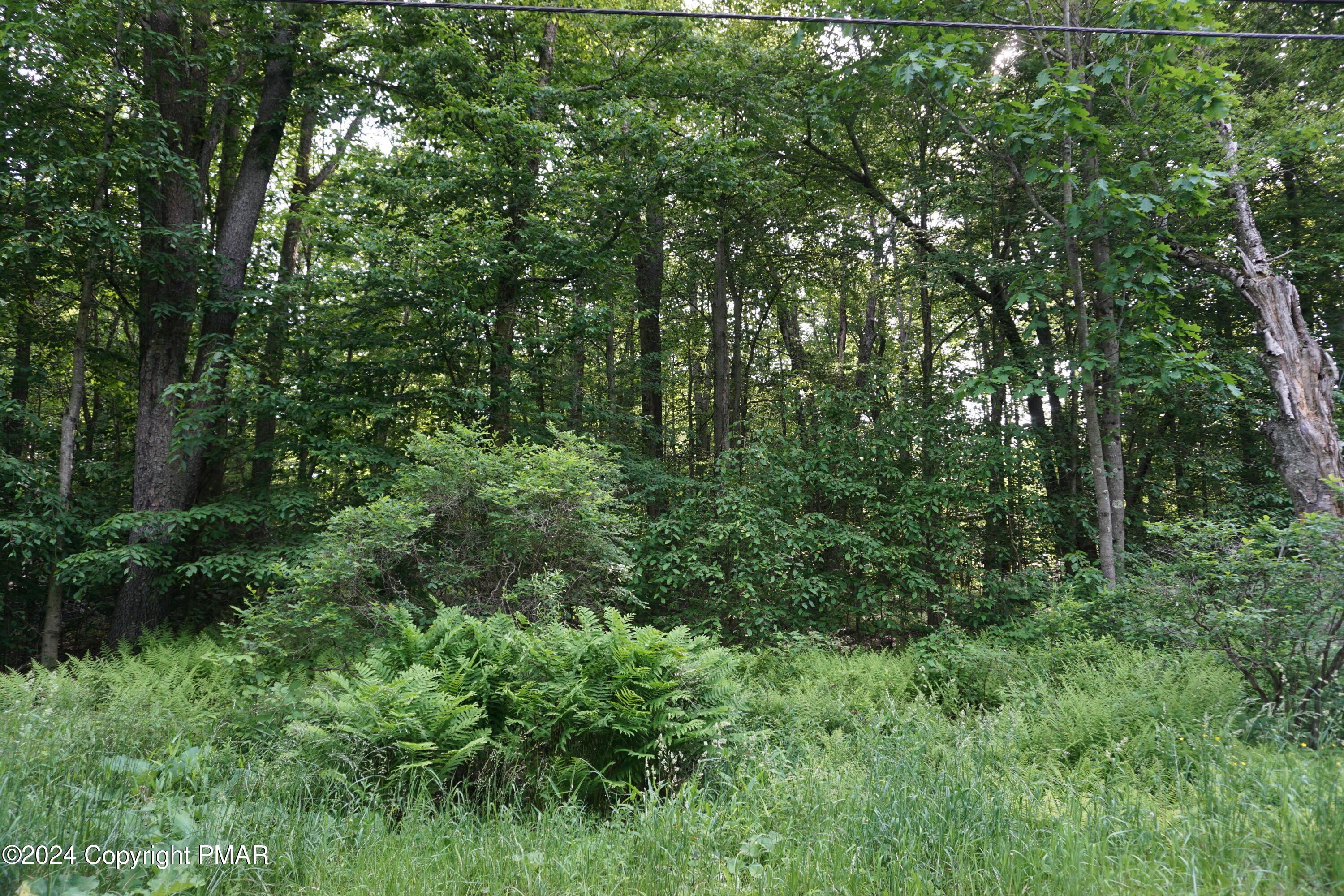 Image 3: DSC04097