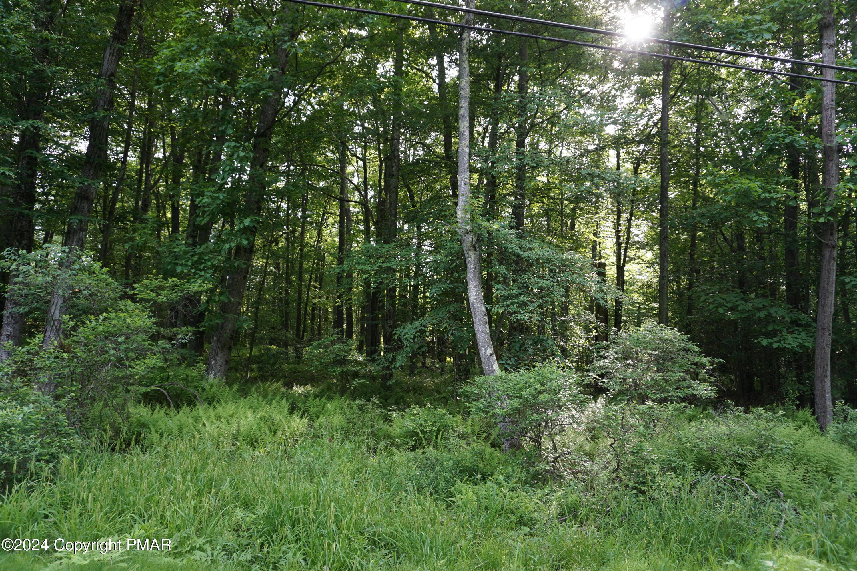 Image 4: DSC04098