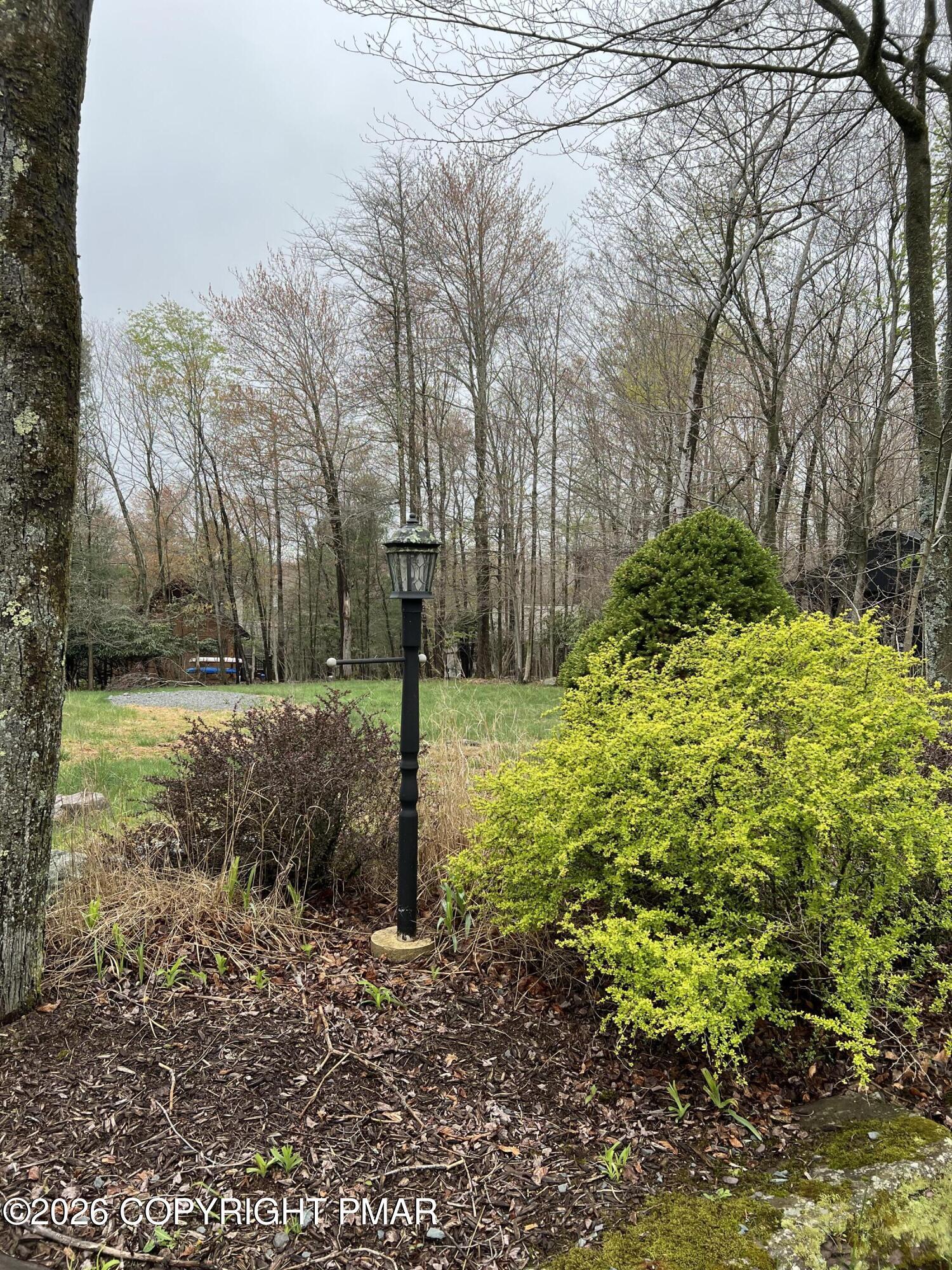 Image 2: IMG_2018