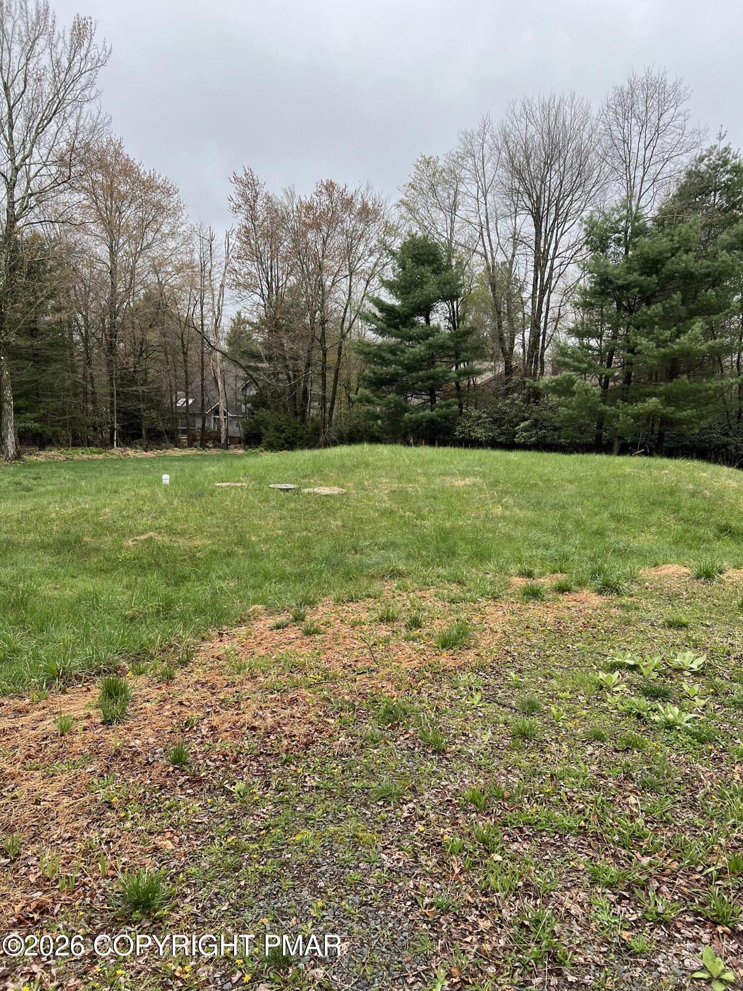 Image 3: IMG_2019