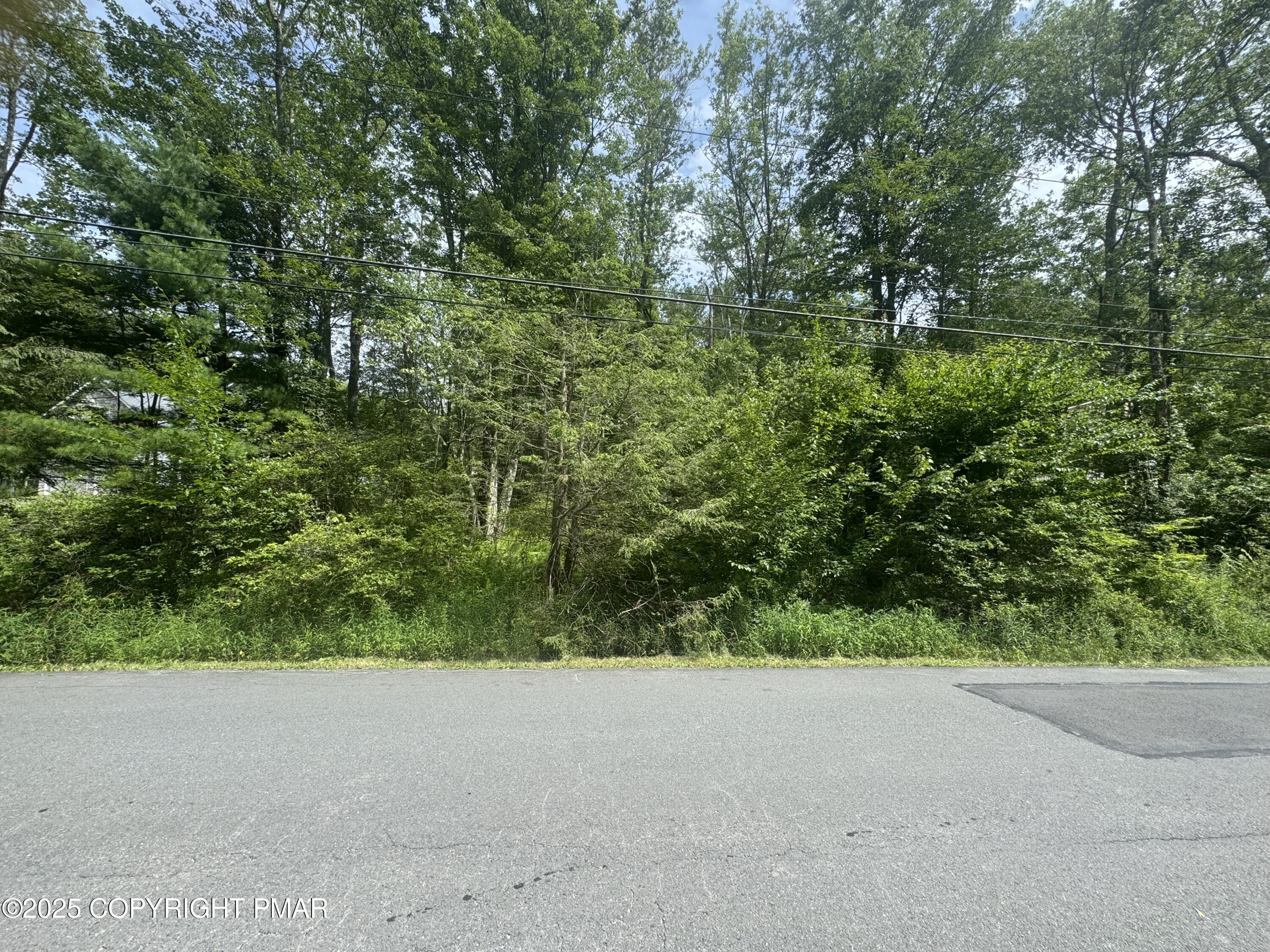 Image 3: IMG_4352