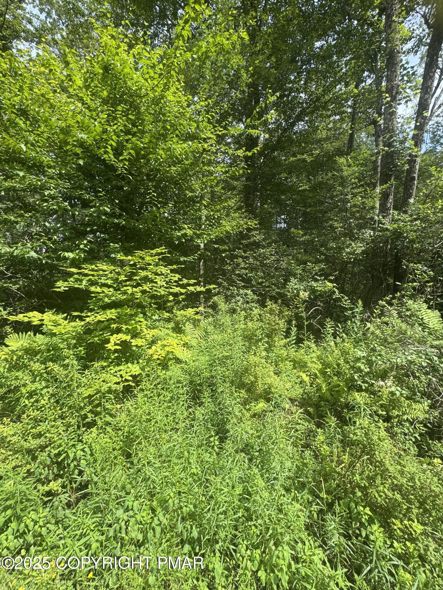 Image 4: IMG_4353