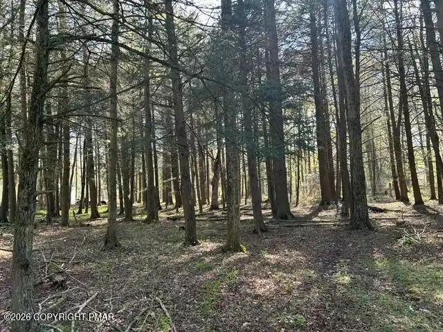 Image 1: George Drive lot