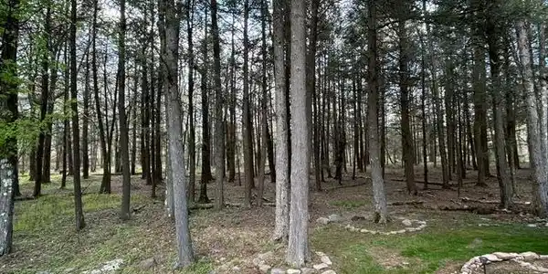 Image 3: george drive lot 2