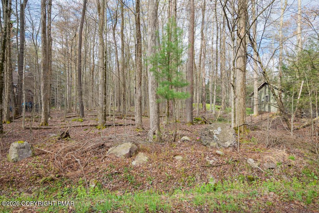 Image 2: PAX_0083