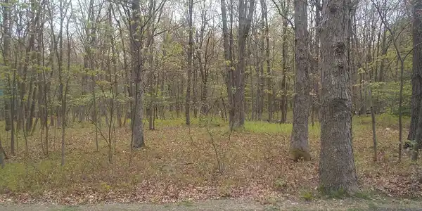 Bear Creek Lake Dr