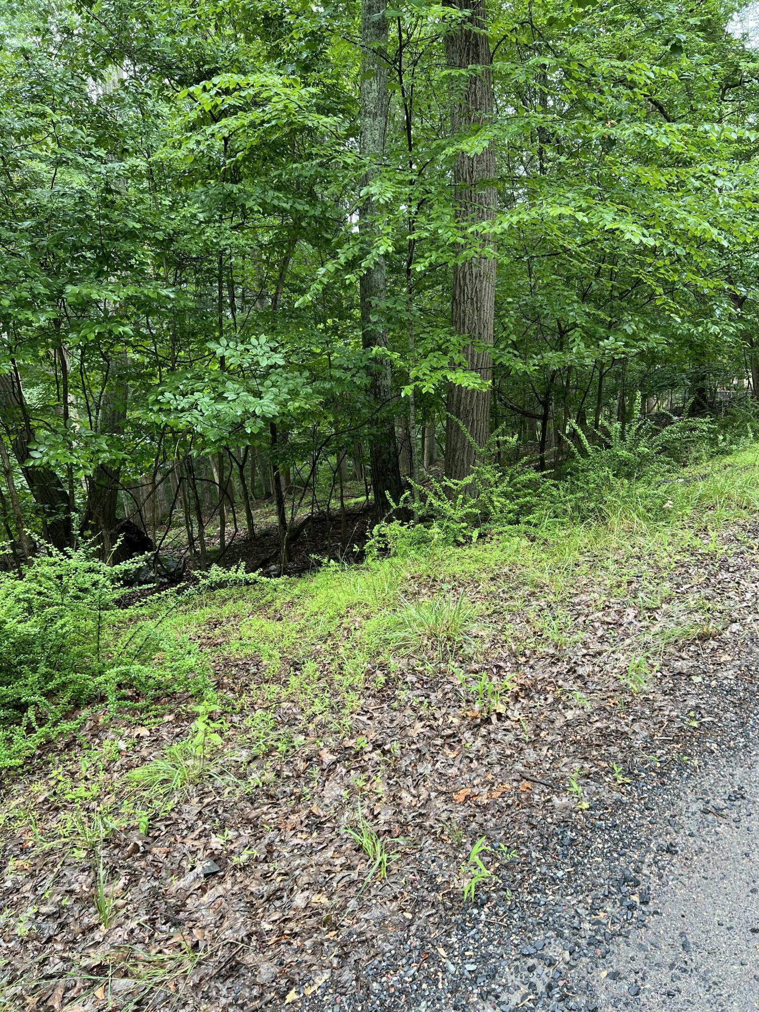 Image 3: IMG_6689