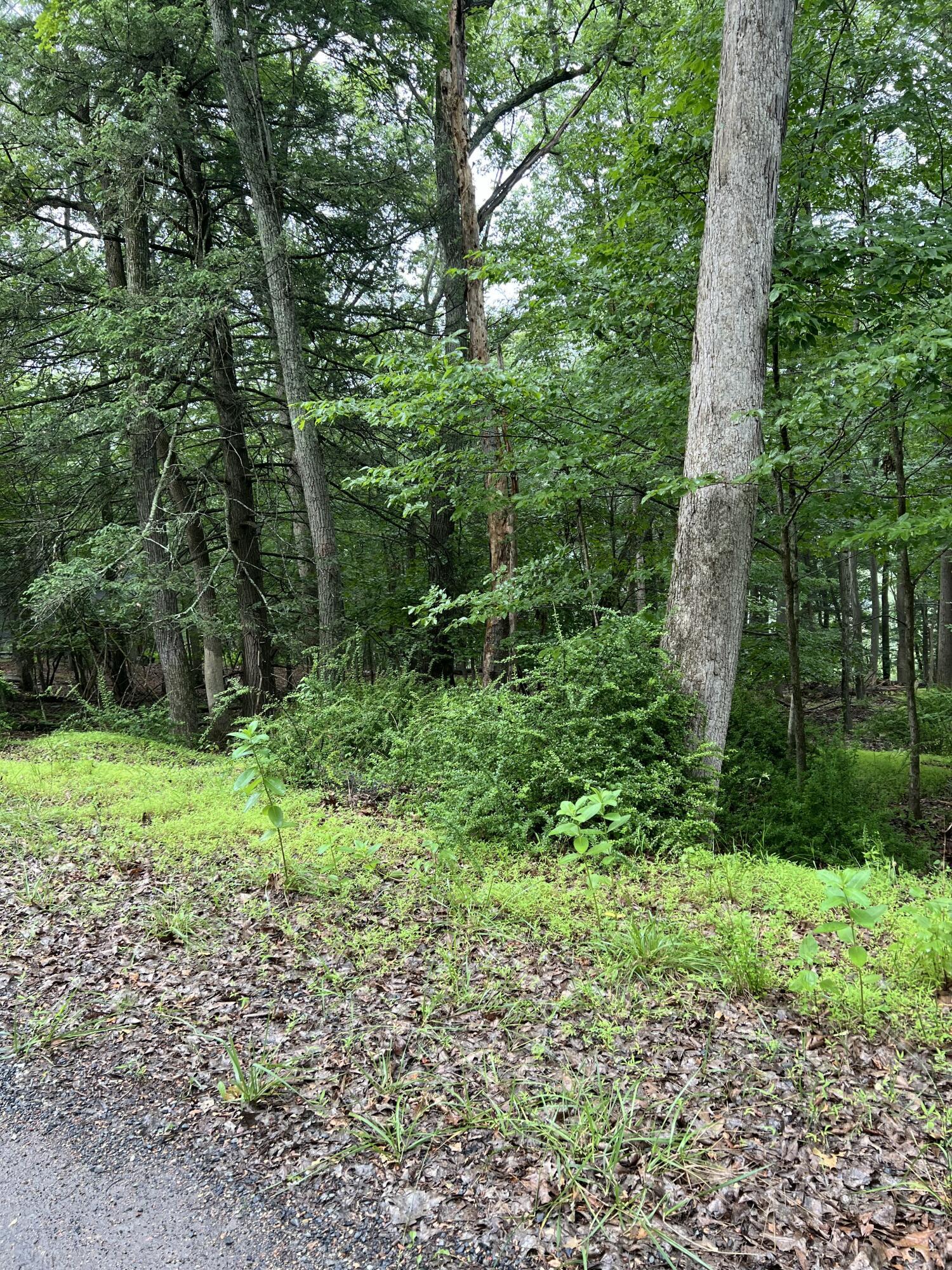 Image 4: IMG_6690