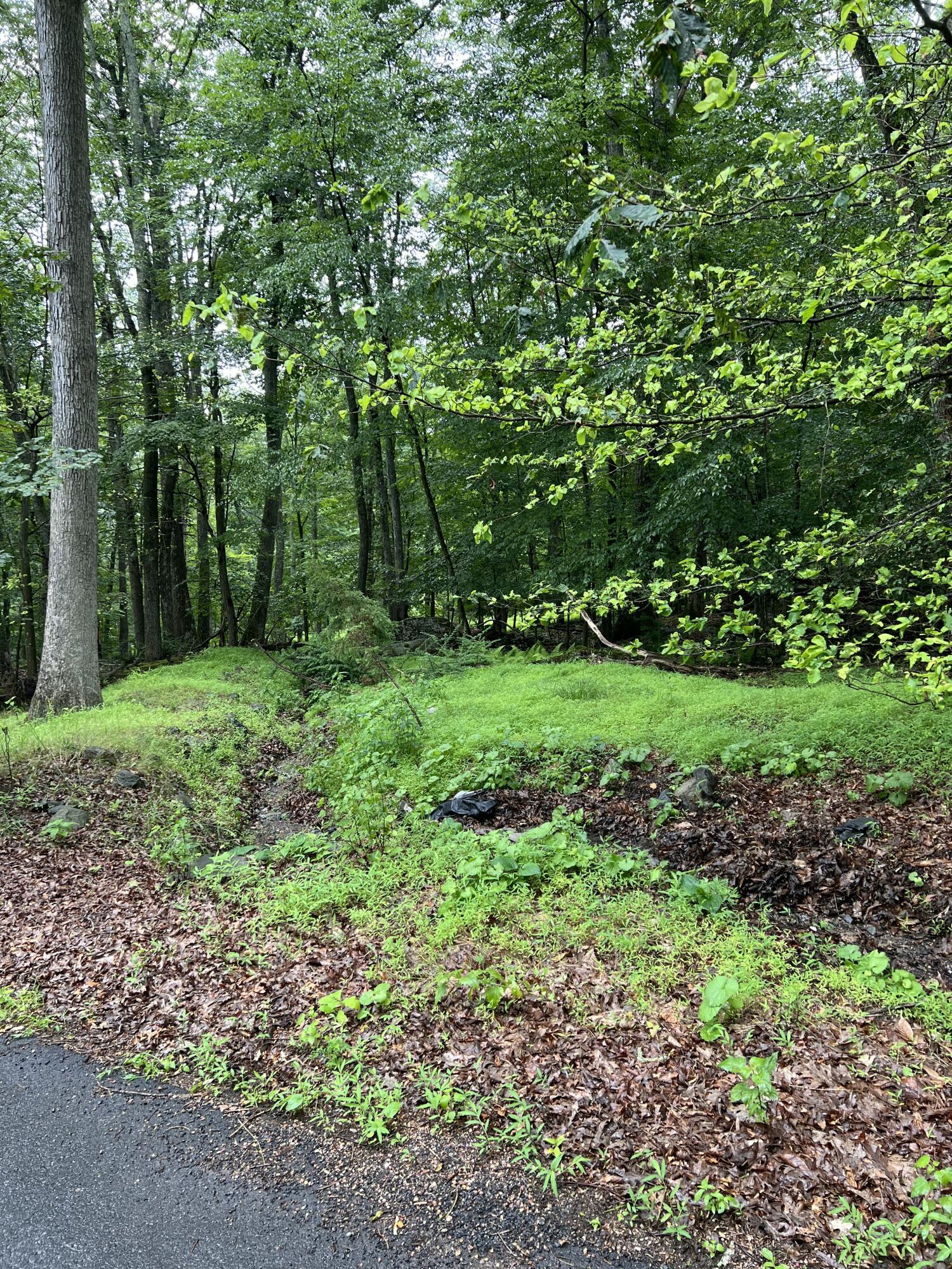 Image 3: IMG_6715