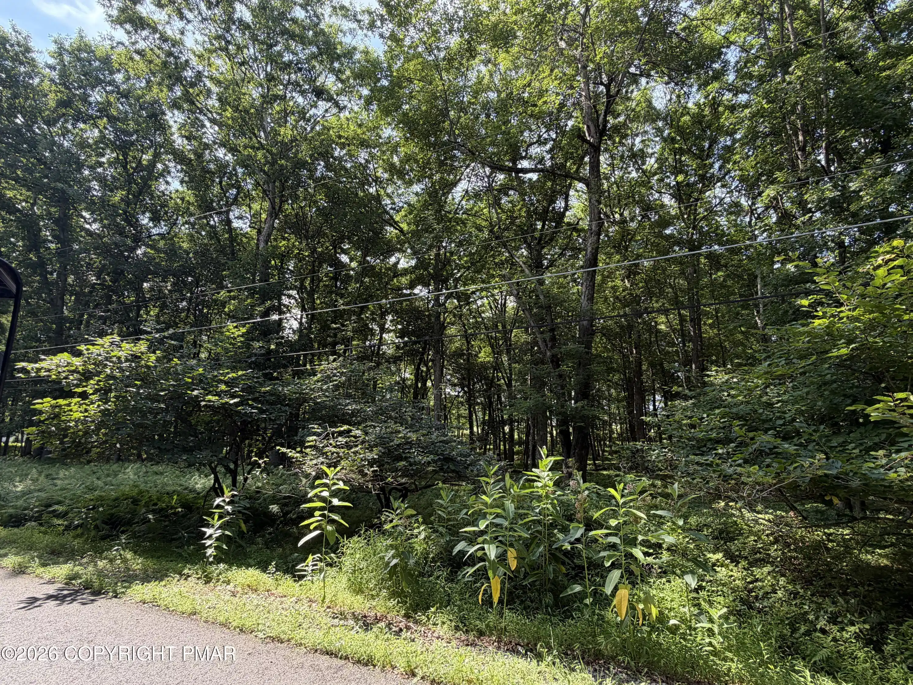 Image 1: IMG_0921