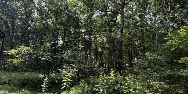 Lot 139LAN Willow Drive
