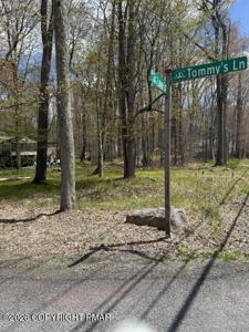 301 Tommys Lane