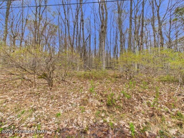 Image 4: 618 Berry Ln