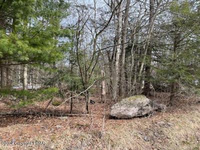 1507 Evergreen Road