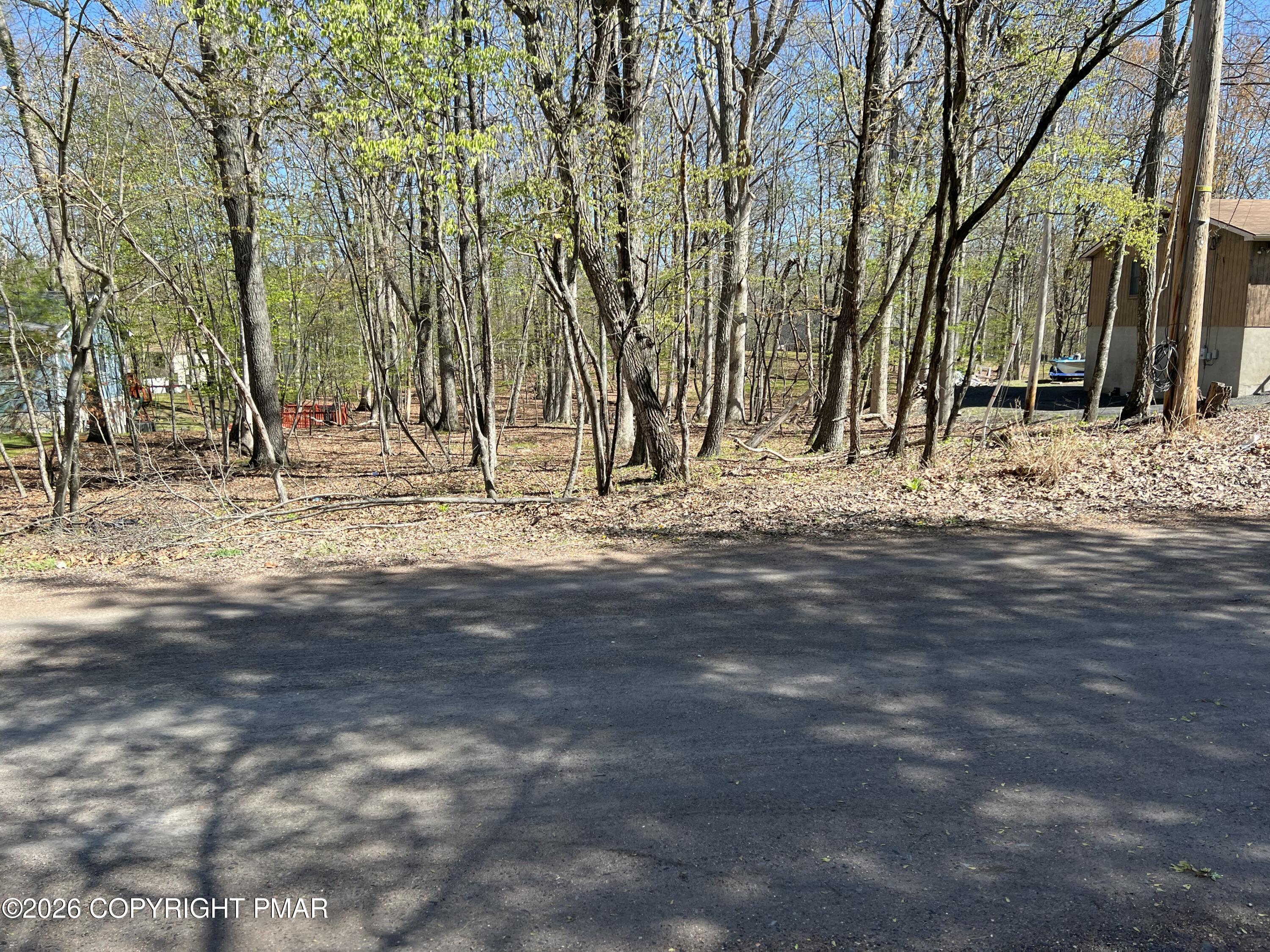 Image 3: IMG_8038