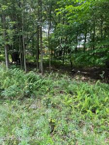 5 CANOE Trail