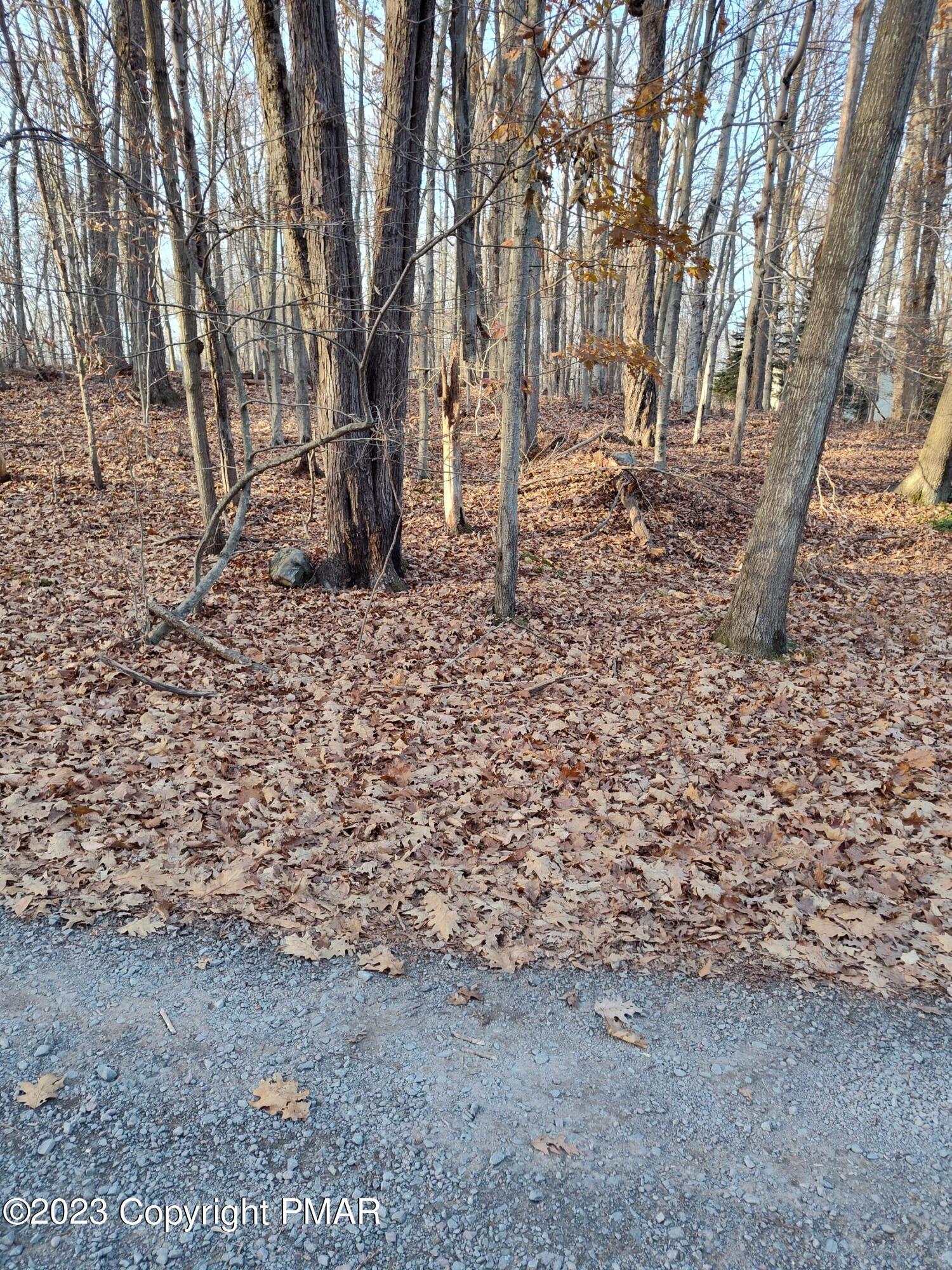 Image 1: PICTURE OF LOT